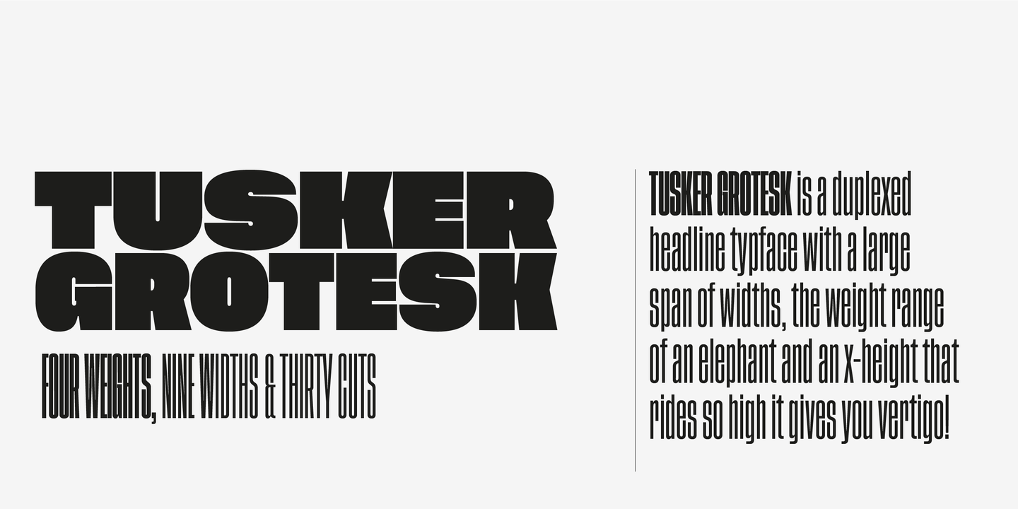 Пример шрифта Tusker Grotesk #2